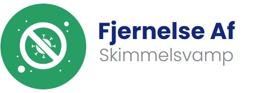 Fjernelse af Skimmelsvamp